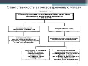 Несвоевременное перечисление алиментов организацией ответственность