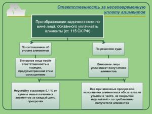 Несвоевременное перечисление алиментов организацией ответственность