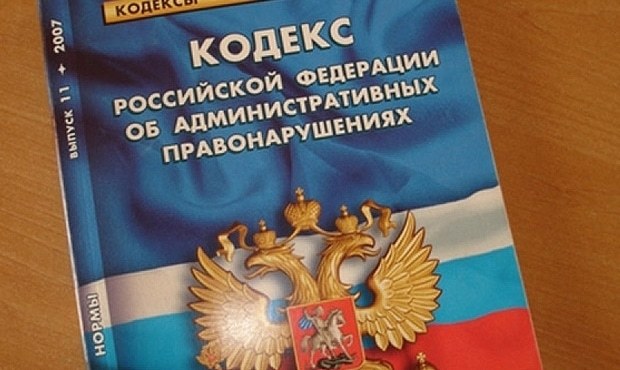 Незаконная банковская деятельность: статья 172 ук рф