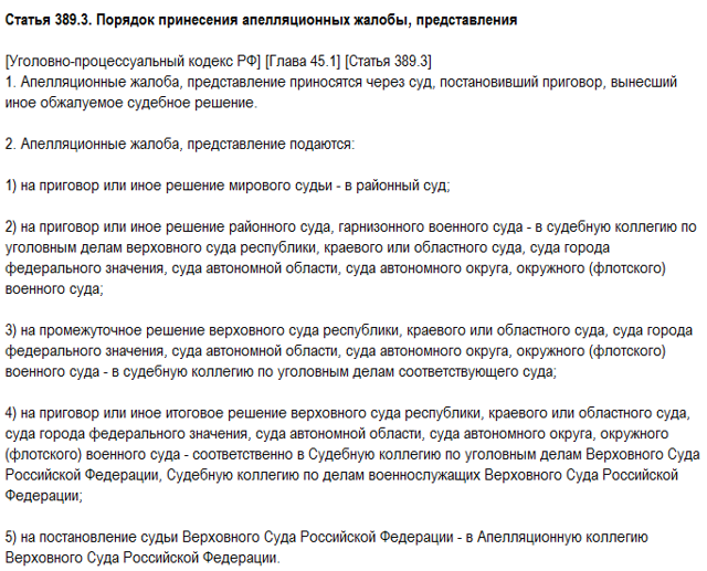 Образец апелляционной жалобы по уголовному делу
