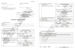 Образец бланка заявления номер 17 о смене фамилии ребенка