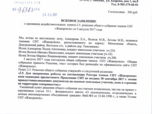 Образец искового заявления в суд на председателя снт