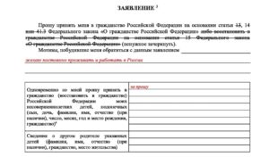 Образец заявления на плоучения гражданства по браку