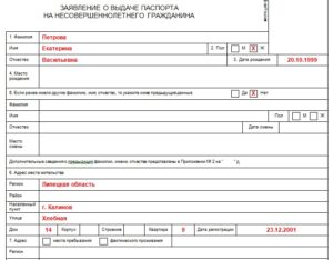 Образец заявления на загранпаспорт для несовершеннолетнего