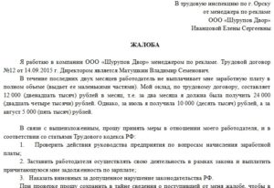 Образец заявления в налоговую на работодателя