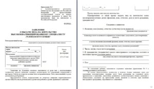 Образец заполнения заявления на внж для несовершеннолетних