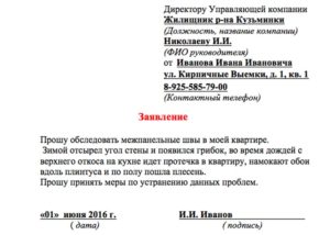 Образец заполнения заявления об утеплении стен