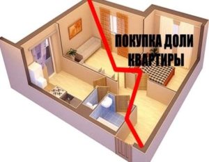 Оформление долей в квартире стоимость