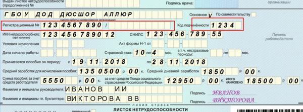 Оформление электронного больничного листа: как получить, образец заполнения