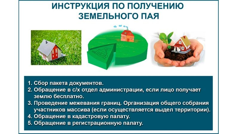 Оформление земельного пая в собственность по наследству