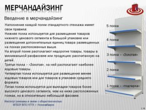 Основы мерчендайзера в магазине