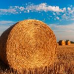 Особенности формы договора аренда недвижимости