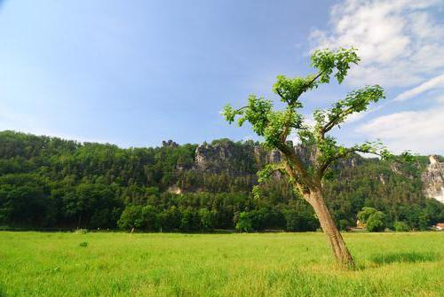 Особенности ипотеки на земельный участок в россии
