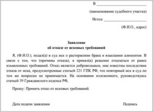 Отказ от исковых требований в связи с добровольным исполнением