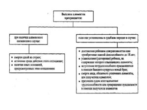 Отказ от уплаты алиментов отрасль права