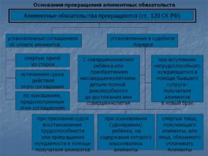 Отказ от уплаты алиментов отрасль права