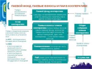 Паевой взнос квартира
