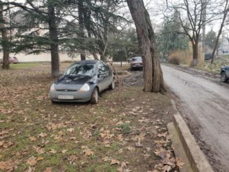 Парковка в зеленой зоне что это?