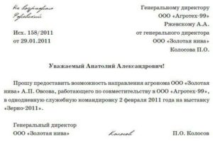 Письмо-жалоба образец бланк