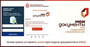 Подать заявление в мфц онлайн