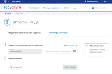 Поиск штрафов по паспортным данным