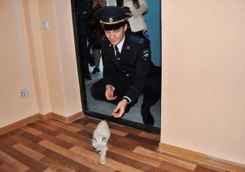 Получают ли полицейские квартиры?