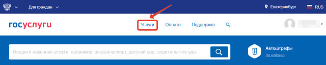 Получение снилса на ребенка через портал госуслуг