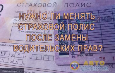 Поменял права нужно ли менять полис ОСАГО?