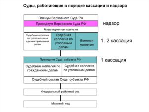 Порядок подачи надзорной жалобы в арбитражном процессе