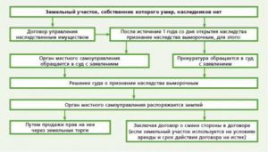 Пошаговвая процедура выморачивания имущества квартиры