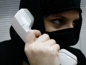 Пособничество: трактовка понятия на основании 33 статьи ук