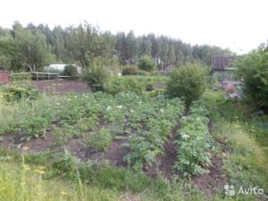 Потребительский садоводческий кооператив