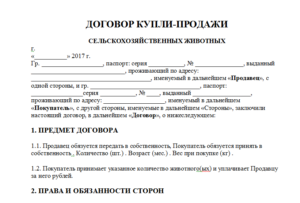 Пример договора купли-продажи