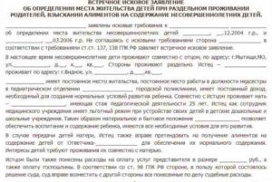 Пример встречного искового заявления