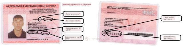 Процедура выдачи разрешения на работу в россии