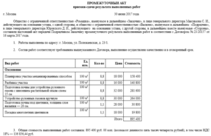 Промежуточный акт выполненных работ образец бланк