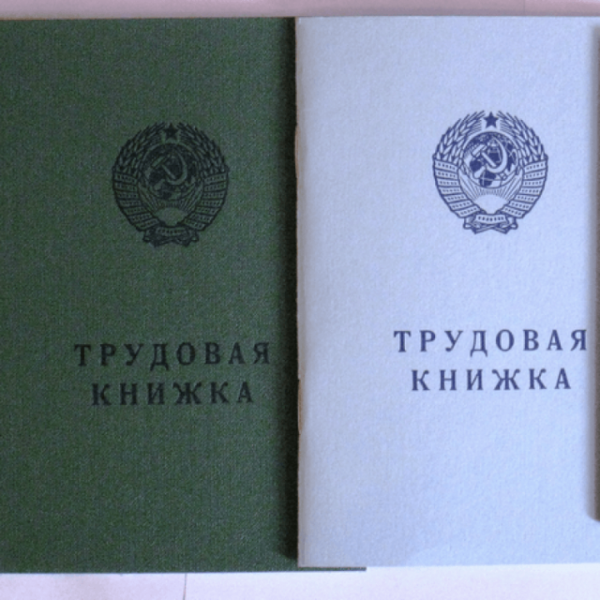 Расчет стажа по трудовой книжке на примере