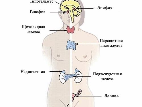 Расшифровка статей в военном билете: 18б, 14б, 62, 13, 20б и другие