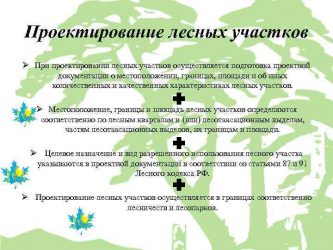 Разработка проектной документации лесного участка
