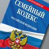Решение суда по алиментам: порядок и условия выдачи