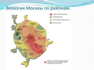 Самые благоприятные районы москвы для проживания с детьми