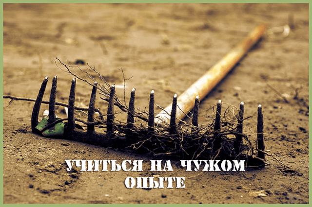 Самые важные плюсы и минусы службы в армии