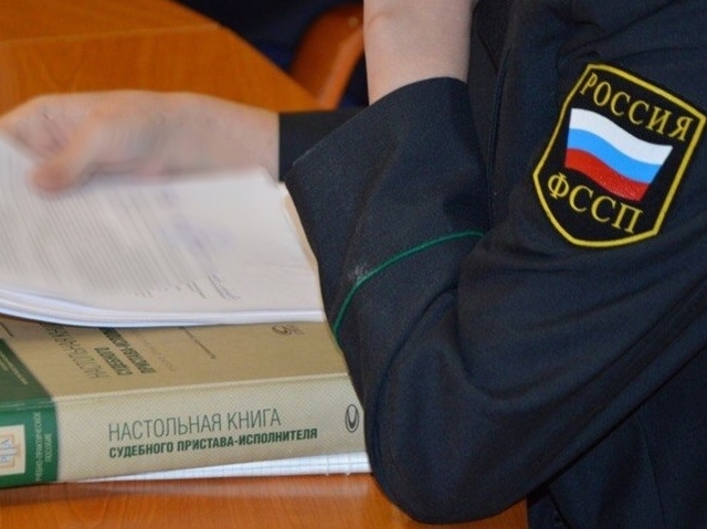 Сбили лося &mdash; порядок действий и установленные штрафы