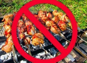 Штраф за шашлыки: в каких случаях отдых может стоить вам денег