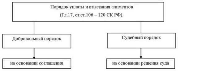 Сколько алиментов должен платить отец на 2 детей в россии