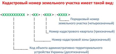 Сколько цифр в кадастровом номере земельного участка?