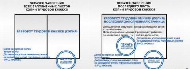 Сколько действительна копия трудовой книжки по законодательству