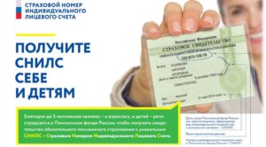 Сколько по времени готовится снилс на ребенка