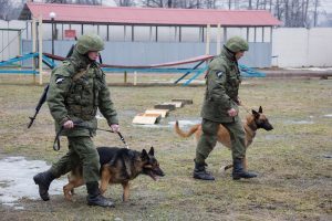 Служба в росгвардии по призыву: особенности и отзывы призывников