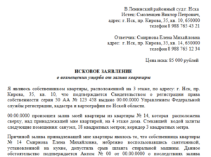 Сосед затопил квартиру исковое заявление